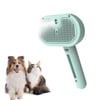 ✨50% OFF💥Pet Spray Hair Removal Comb🐶