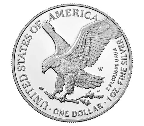 🎁Promotion 49% OFF🎁American Eagle 2024 One Ounce Silver Proof Coin