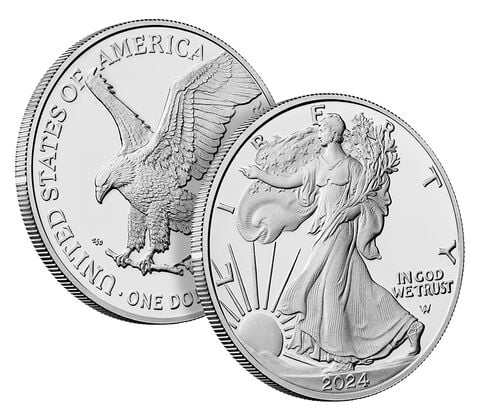 🎁Promotion 49% OFF🎁American Eagle 2024 One Ounce Silver Proof Coin