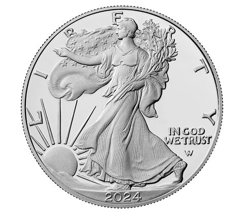 🎁Promotion 49% OFF🎁American Eagle 2024 One Ounce Silver Proof Coin