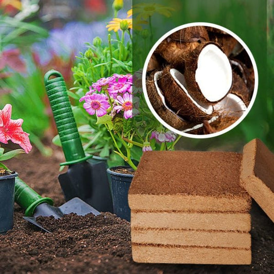 🔥HOT SALE 80% OFF🎁🌱Organic Coconut Coir for Plants